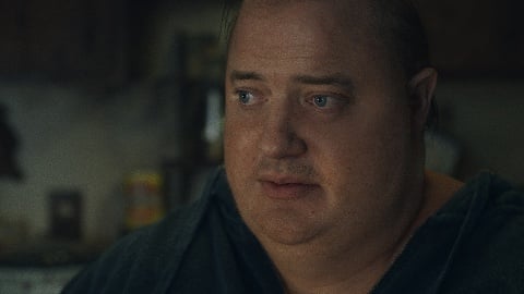 La revue des baleines