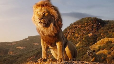 Mufasa, des nouvelles sur la préquelle du Roi Lion du réalisateur