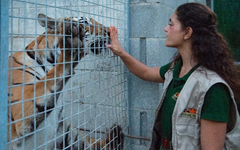 The Cage - dans la cage, le tournage du film italien sur les arts martiaux mixtes commence