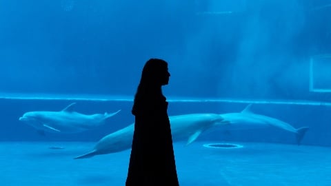 entretien avec le réalisateur et les scénaristes de la série Sky