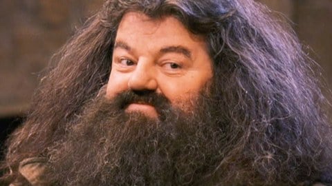 Au revoir à Robbie Coltrane, l'acteur écossais célèbre pour son rôle de Hagrid dans la saga Harry Potter est décédé