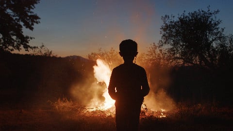 Critique de Love Sponde