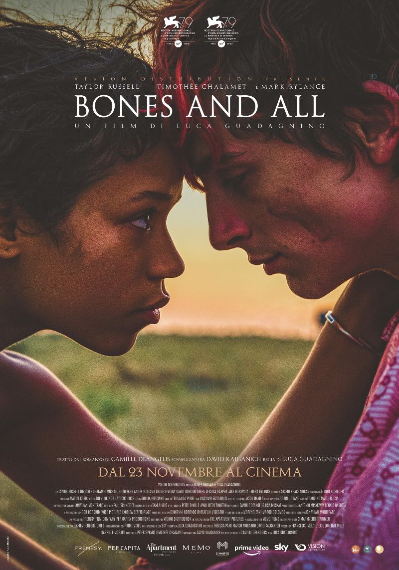 l'affiche italienne du film de Luca Guadagnino avec Timothée Chalamet