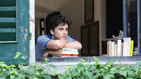 Armie Hammer est de retour dans la suite de Call Me By Your Name ?