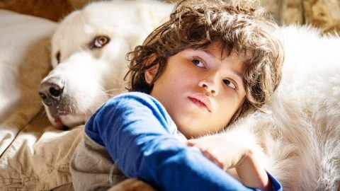 Belle et Sébastien - Examen de la prochaine génération