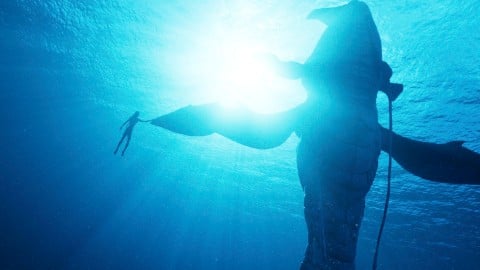 The Waterway, James Cameron révèle qu'il a eu l'idée de la saga en rêve