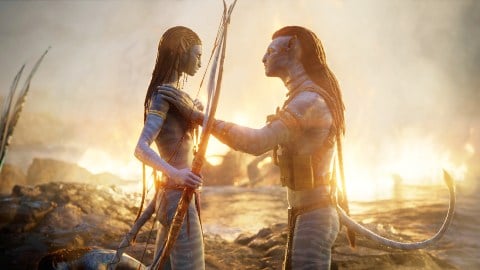 La voie de l'eau, les revenus attendus en hausse, quel est l'enjeu ?