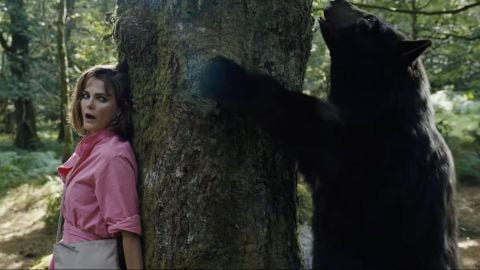 L'histoire hallucinante de l'ours qui a ingéré 30 kg de drogue... vous pouvez voir la suite dans la bande-annonce du film