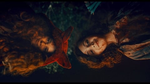 la bande-annonce d'horreur où le mal vient d'un bois