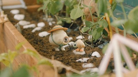 Critique de Marcel le coquillage