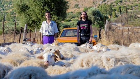 Avis sur le printemps de ma vie