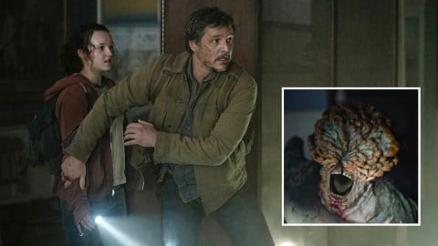 Le mot "zombie" était interdit sur le plateau, c'est pour ça