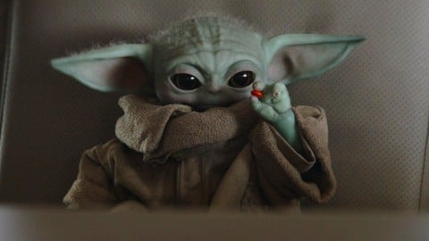 Est-ce Grogu ou Baby Yoda ?  Il était difficile pour les créateurs de faire accepter aux fans le vrai nom de l'enfant