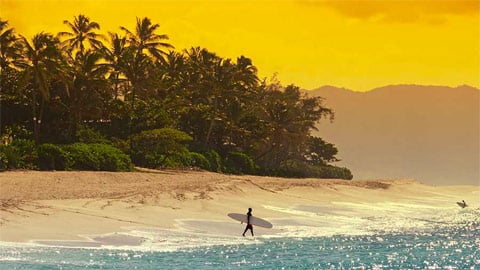 FOX commande le prochain Baywatch, Rescue: Hi-Surf de John Wells