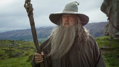 Un fan du Seigneur des Anneaux déguisé en Gandalf rencontre Ian McKellen dans la rue dans cette vidéo hilarante !