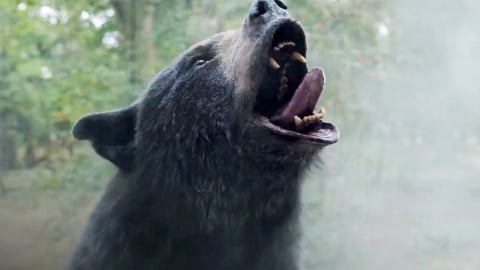 l'ours brun devient fou dans un extrait exclusif de la comédie d'horreur