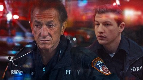 Examen des mouches noires