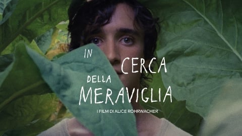 In Search of Wonder - les films d'Alice Rohrwacher : sur MUBI une revue consacrée au réalisateur de La Chimère