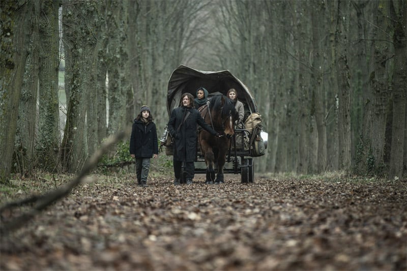 The Walking Dead : Daryl Dixon