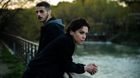 Comme des moutons parmi les loups