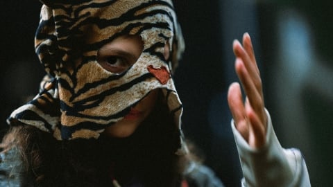 Dans un présent dystopique, deux groupes luttent pour survivre dans la bande-annonce du film