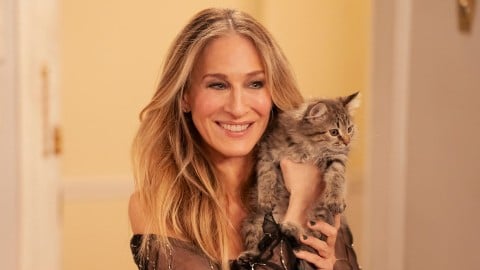 Sarah Jessica Parker a adopté le chaton de Carrie