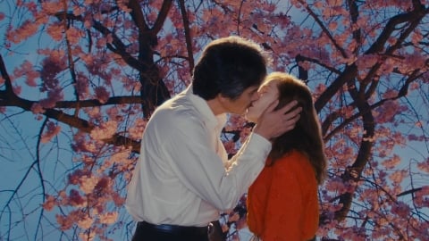 Revue du voyage au Japon