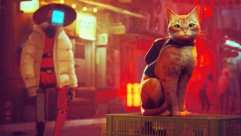 Stray devient un film d'animation, tandis qu'Annapurna Pictures renforce son offre d'animation après Nimona