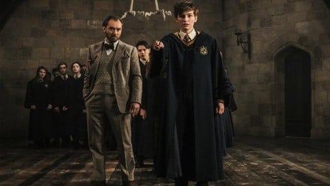 Bêtes fantastiques et où les trouver?  Les suites sont "garées" pour le moment, déclare le réalisateur David Yates