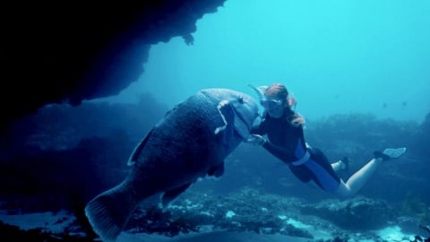 Le conte écologiste avec Mia Wasikowska et Eric Bana créé sur Sky et diffusé sur MAINTENANT