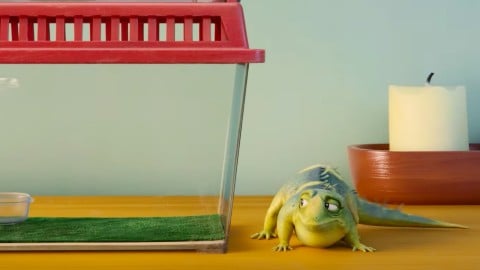 Léo, une drôle de scène d'évasion pour le lézard star du dessin animé Netflix !