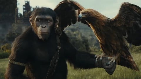 voici la première bande-annonce officielle du film !