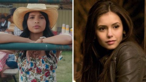L'auteur admet qu'elle s'est inspirée de The Vampire Diaries