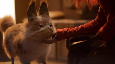 Qu'est-il arrivé au chat de Sabine ?  Dave Filoni rassure les fans