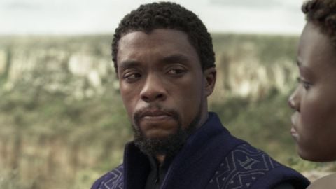 Black Panther, à l'origine Chadwick Boseman, a participé aux auditions des Gardiens de la Galaxie
