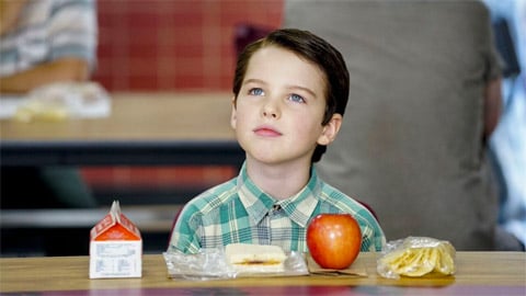 Young Sheldon cartonne sur Netflix, Obliterated s'en sort aussi bien