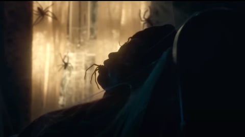 la bande-annonce d'un film d'horreur français pas adapté aux arachnophobes