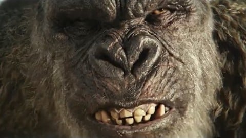 Godzilla et Kong - Le Nouvel Empire : voici le nouveau trailer officiel !