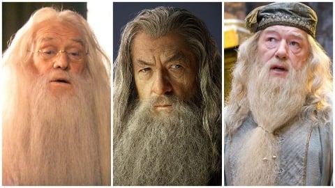 Ian Mc Kellen a refusé le rôle d'Albus Dumbledore après le départ de Richard Harris pour... un adjectif