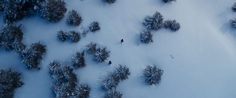 Examen des survivants