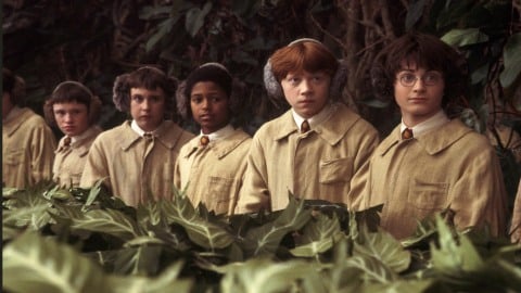 Harry Potter, protagoniste des films, s'inquiète des fans adultes de la franchise : "C'est pour les enfants, surmontez-vous !"