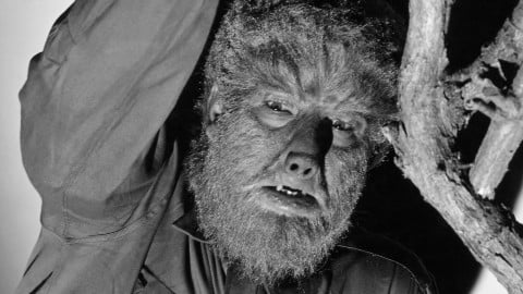 Wolf Man, le tournage a commencé pour le redémarrage d'Universal réalisé par Leigh Whannell