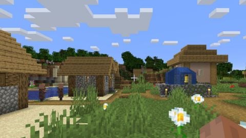 Minecraft, des accessoires du jeu vidéo populaire repérés sur un plateau ?