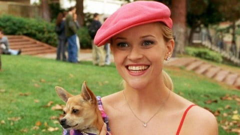 Reese Witherspoon et les producteurs de Gossip Girl travaillent sur une série télévisée dérivée