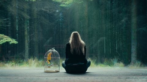 The Watchers - They're Watching You : la bande-annonce officielle italienne du film d'Ishana Night Shyamalan avec Dakota Fanning