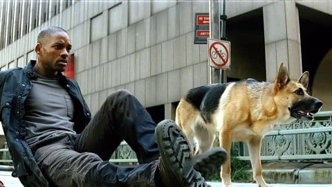 le film est-il encore en développement ?