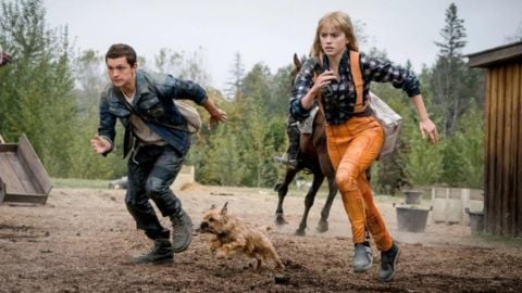 Chaos walking, Daisy Ridley et Tom Holland sur Rai 2