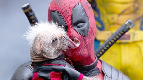 Deadpool & Wolverine est un record au box-office américain et est premier en Italie ce week-end