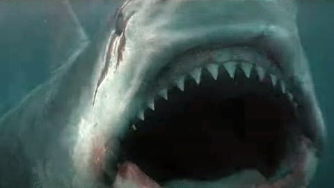 la bande-annonce du nouveau film d'Asylum sur un requin tueur