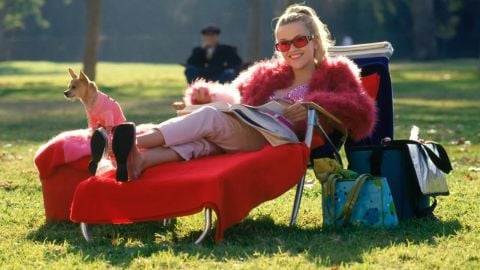 Le prequel de Legally Blonde cherche son protagoniste